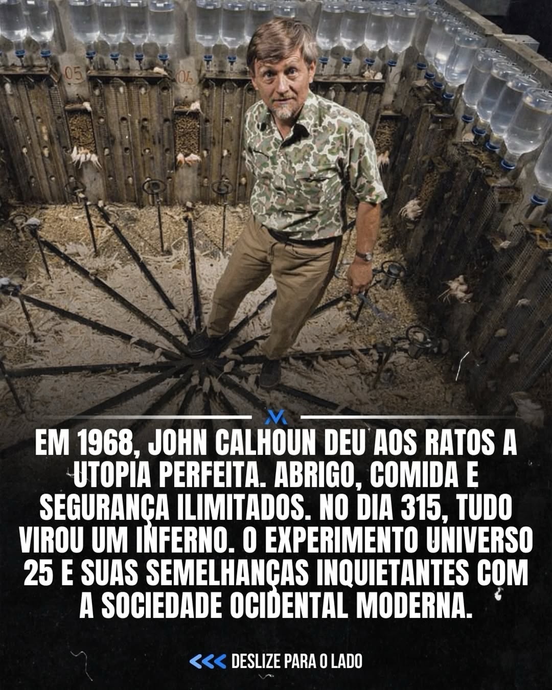 Em 1968, John Calhoun criou um ambiente perfeito para ratos e observou algo pert…